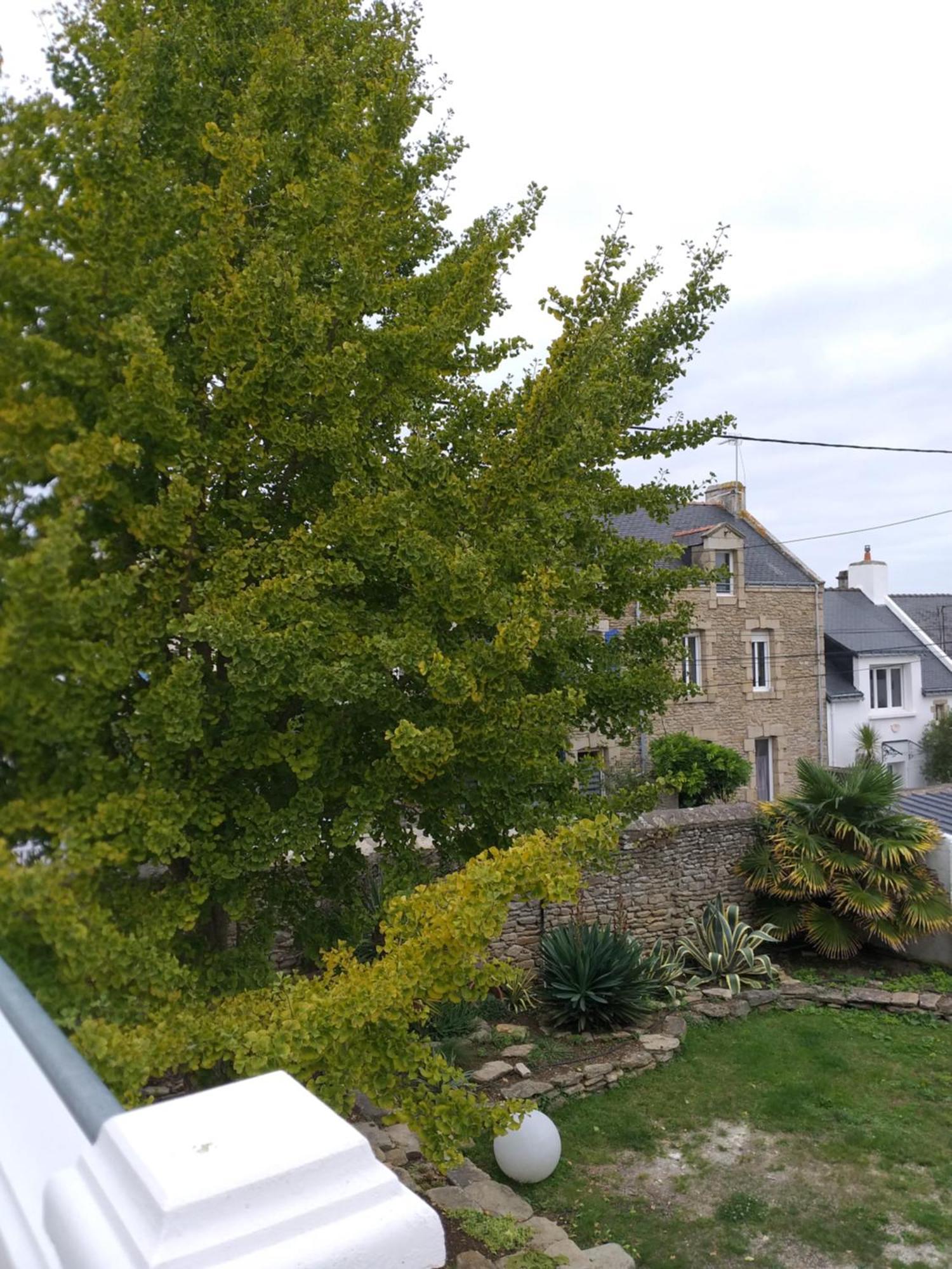 Manoir St Yves -Gite 基伯龙 外观 照片